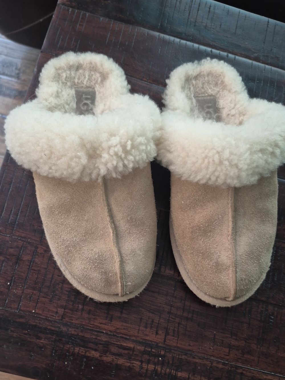 UGG Plush Shearling Lined Mule - Cream